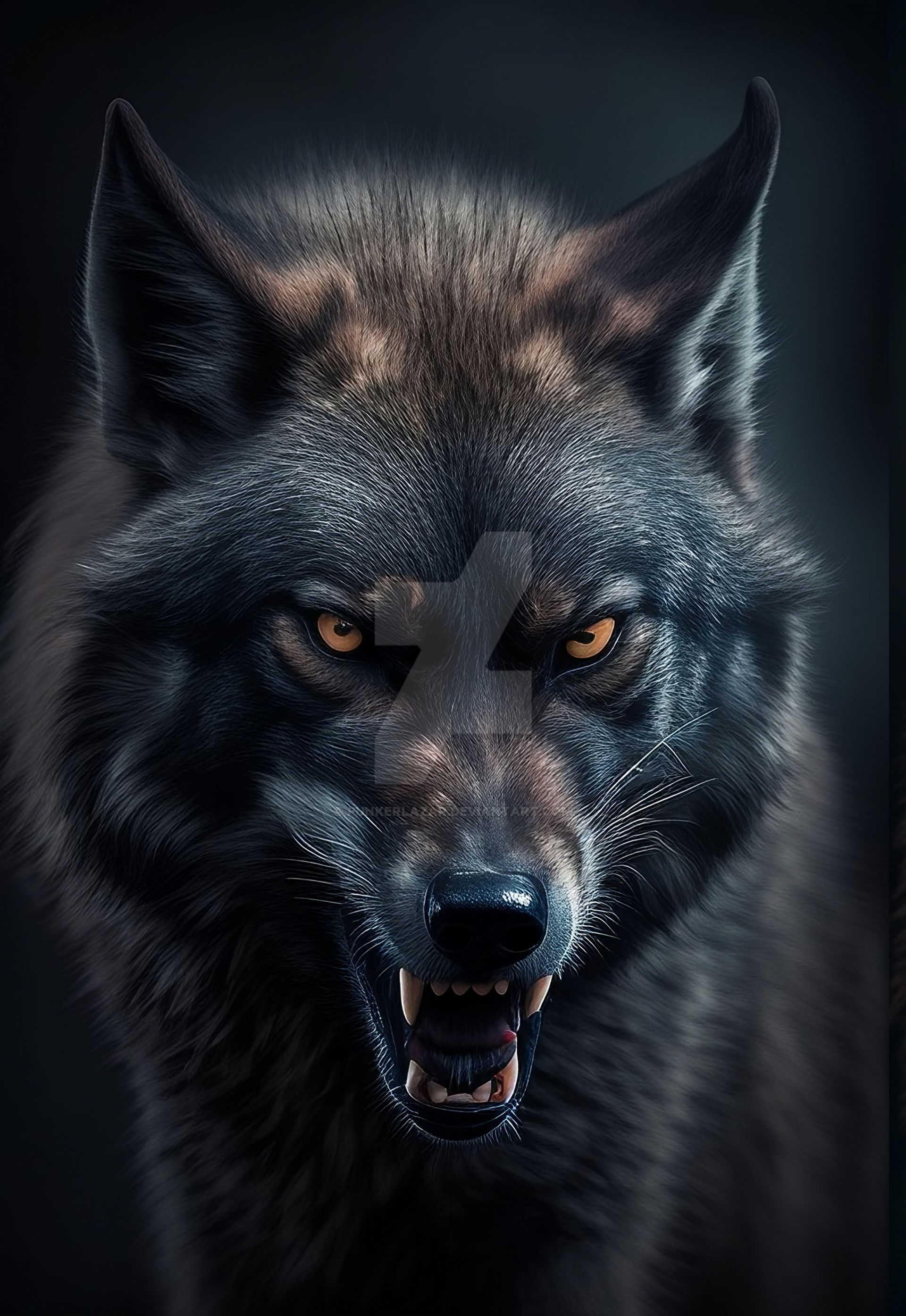 Lack Wolves Amazing animals- Black wolf (1) by PunkerLazar on DeviantArt