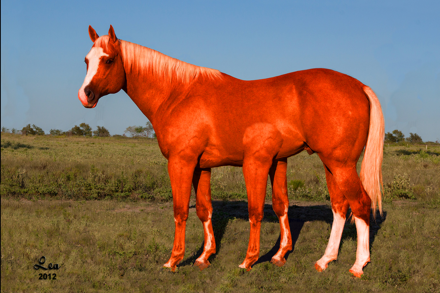 FTL: Six-legged horse-like animal by Twilightwindwaker777 on DeviantArt