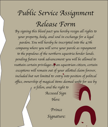 Public Service Assignment Release Form