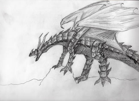 Dragon 01