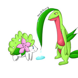 Pokemon: Shaymin and Grovyle