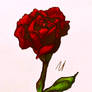 Red Rose