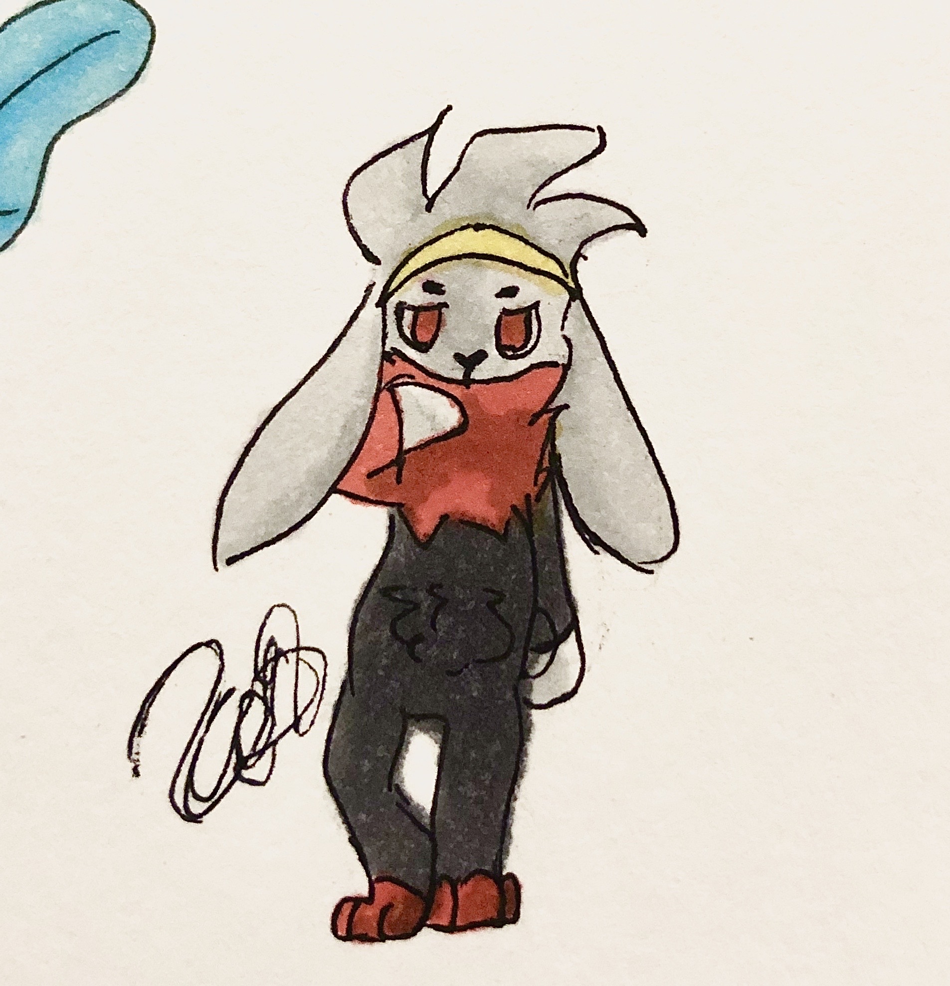 Cute Raboot Raboot - Pokemon by Orcchai on DeviantArt
