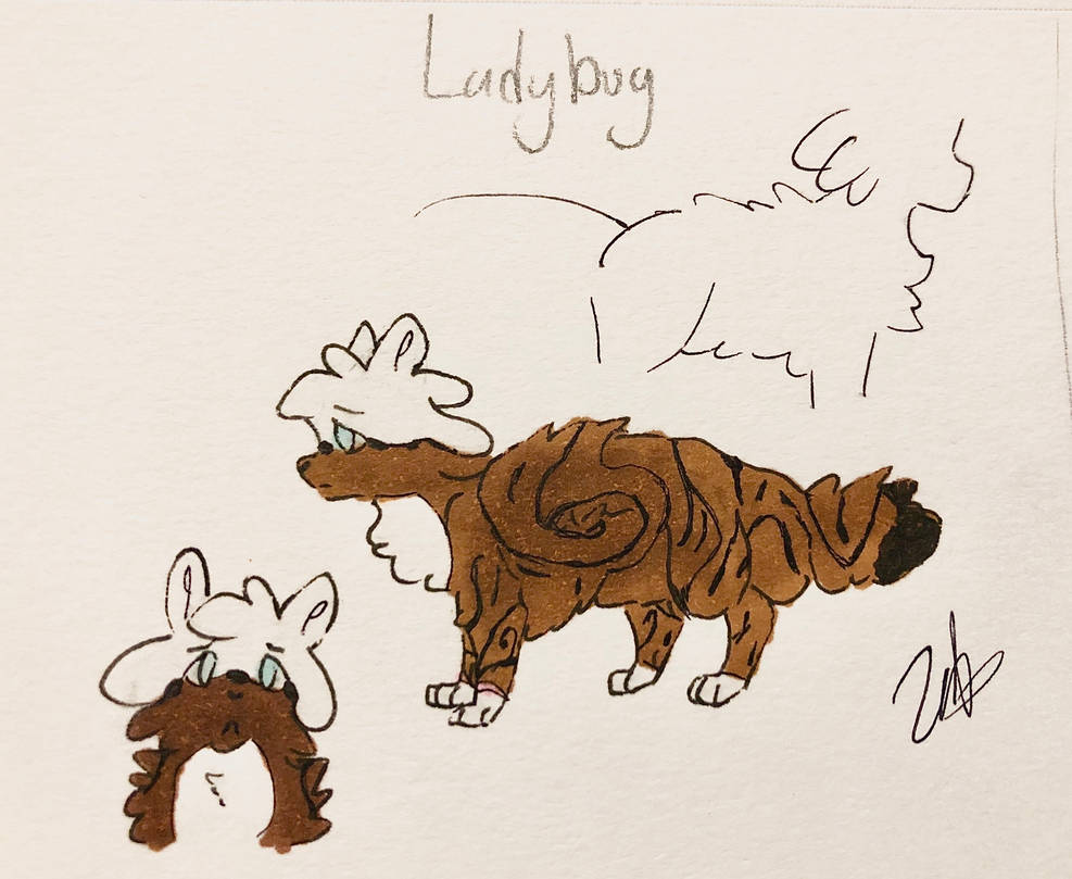 Ladybug Reference Sheet - Tainted Silver by Orcchai on DeviantArt