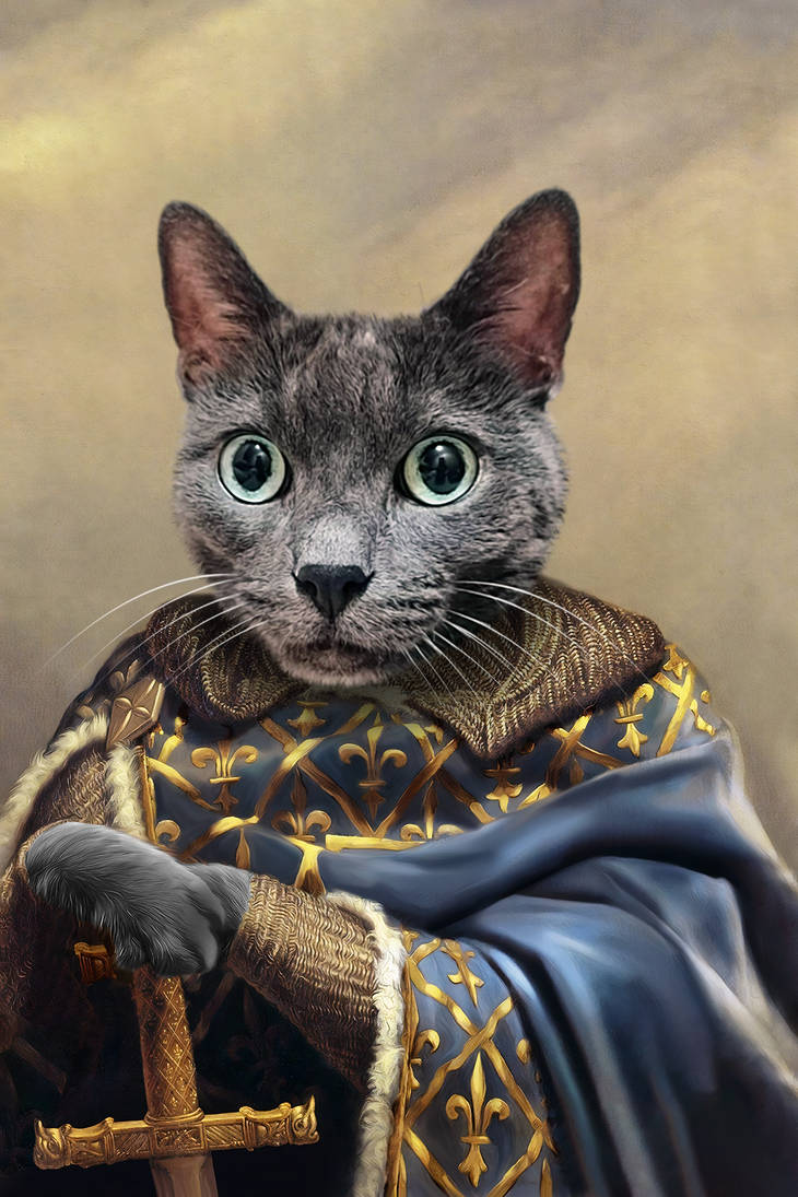 Crusader Pawtrait by ImperialPawtrait on DeviantArt