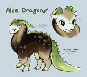 Aloe Dragon (closed)