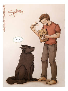 Dog Food - Sterek