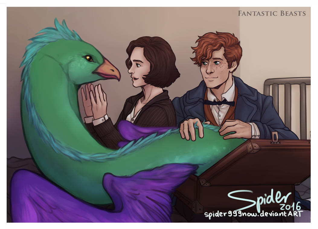 Out of a Suitcase by spider999now