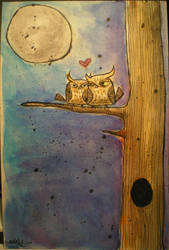 owls in love