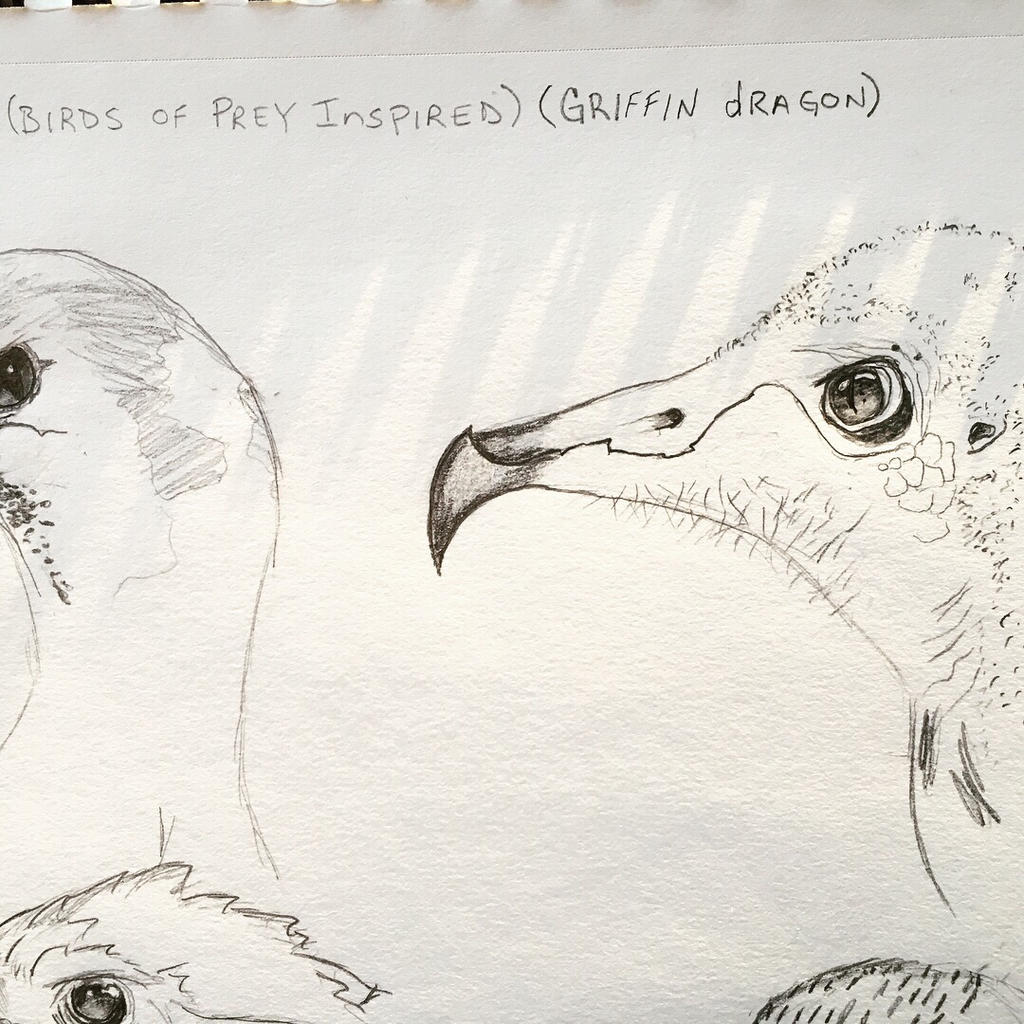 Sullivan Dragons Griffin Why Sullivan? The Internal Solution to a Cultural Crisis