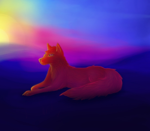 Sunset wolf