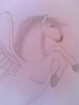 My Pegasus Drawing