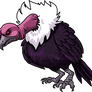 Vulture