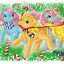 Pony Christmas Card