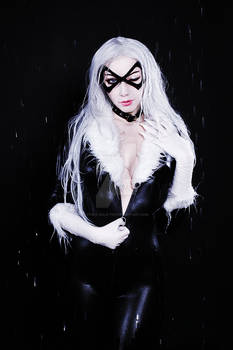 Felicia Black Cat