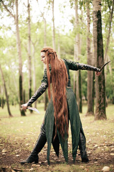 The Hobbit: The Desolation of Smaug   Tauriel