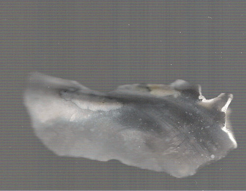 Stone animation by SinacSurid on DeviantArt