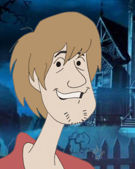 Red Shirt Shaggy Portrait