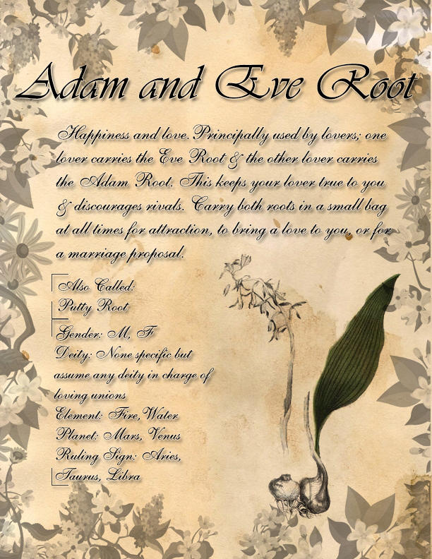 Eve Roots Book of Shadows: Herb Grimoire - Adam and Eve Root by CoNiGMa on DeviantArt