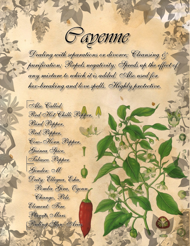 Book of Shadows: Herb Grimoire - Cayenne