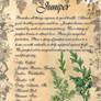 Book of Shadows: Herb Grimoire- Juniper
