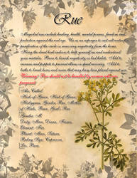 Book of Shadows: Herb Grimoire - Rue