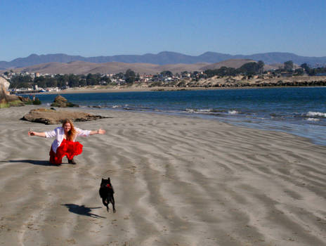 Day at the beach