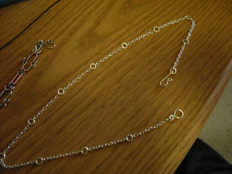 Chain Necklace 2