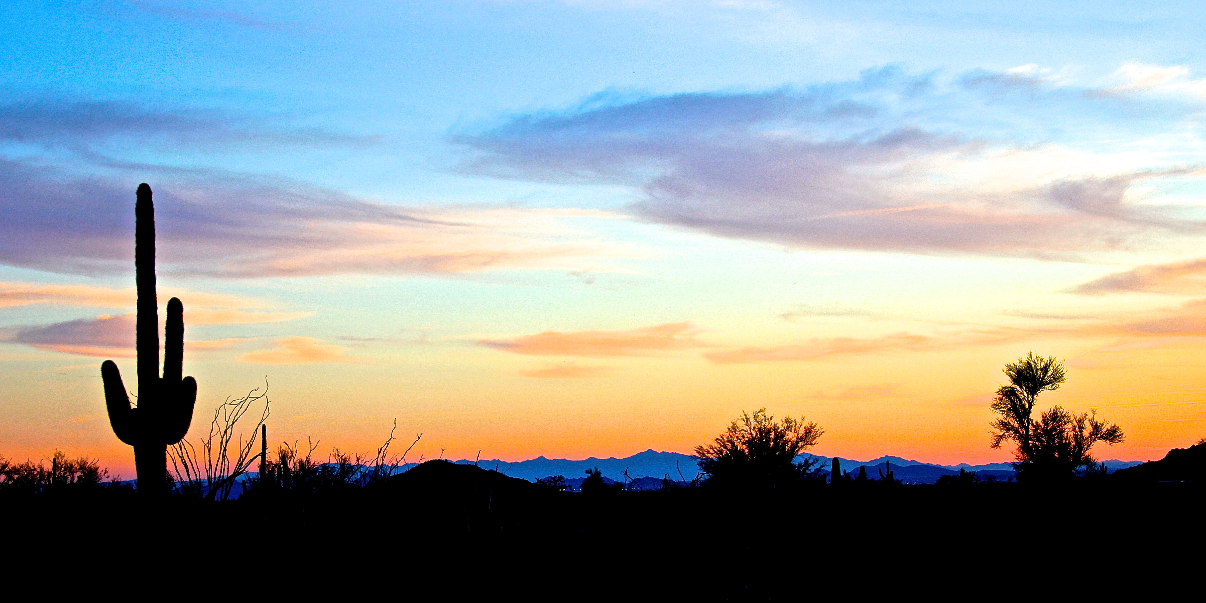 Desert Sunset