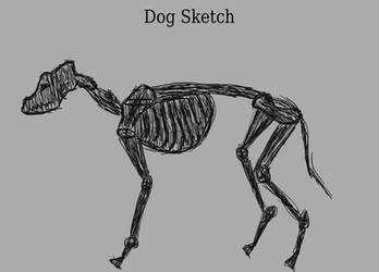 Dog Skeleton Sketch