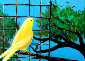 Canary