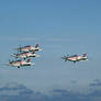 5 Pilatus PC-9 in formation