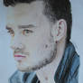 Liam Payne MM photoshoot drawing