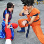 Goku and chichi Fights