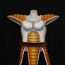 Dragonball Z Vegeta Saiyan saga Armor