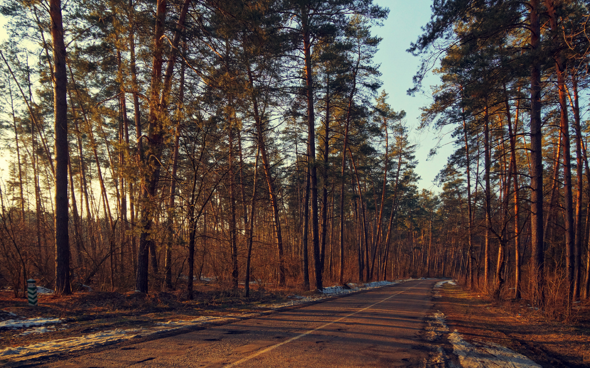 forest road