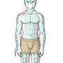 Akendolfr of the Glaciers (revision)