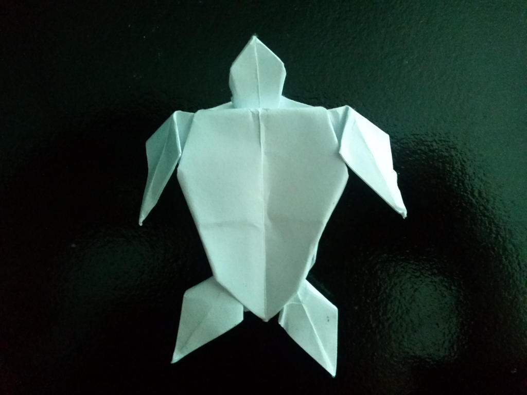 Turtle origami