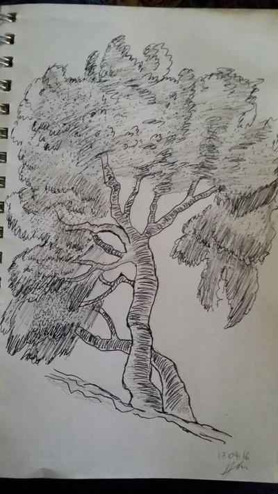 ink tree by Annyarej on DeviantArt