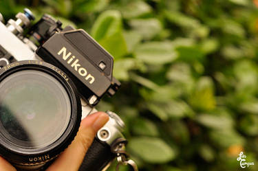 VINTAGE NIKON