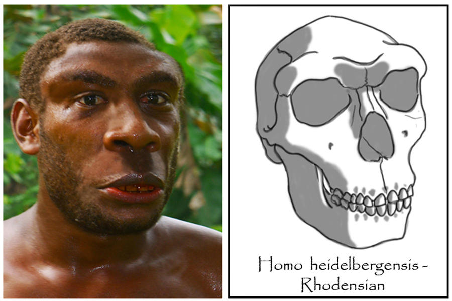 Rhodesian Man Found In Homo rhodesiensis - male by babanovac0232 on DeviantArt