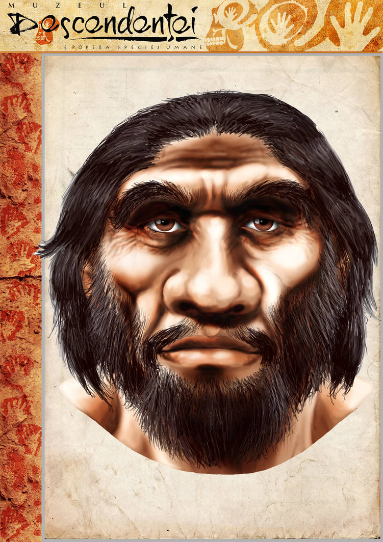 Homo erectus (Pithecanthropus pekinensis) by babanovac0232 on DeviantArt