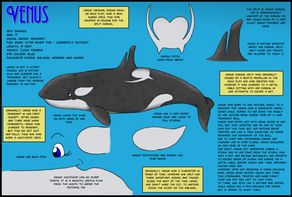 Venus FactRef Sheet by Okura on DeviantArt