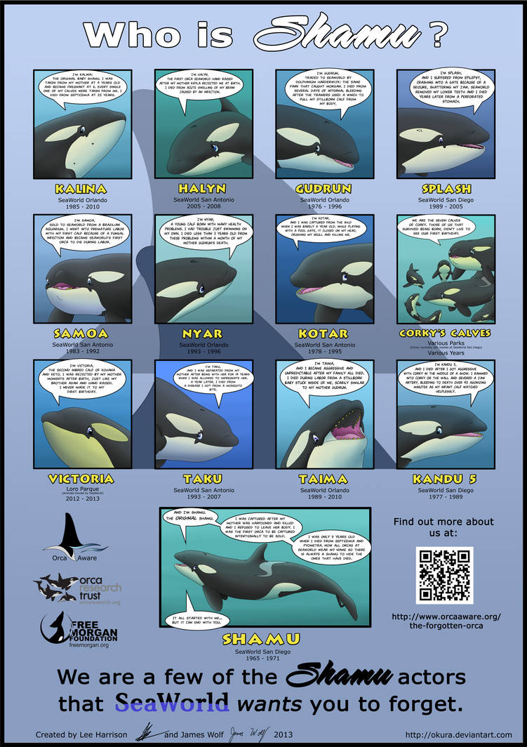 Who is Shamu? Poster