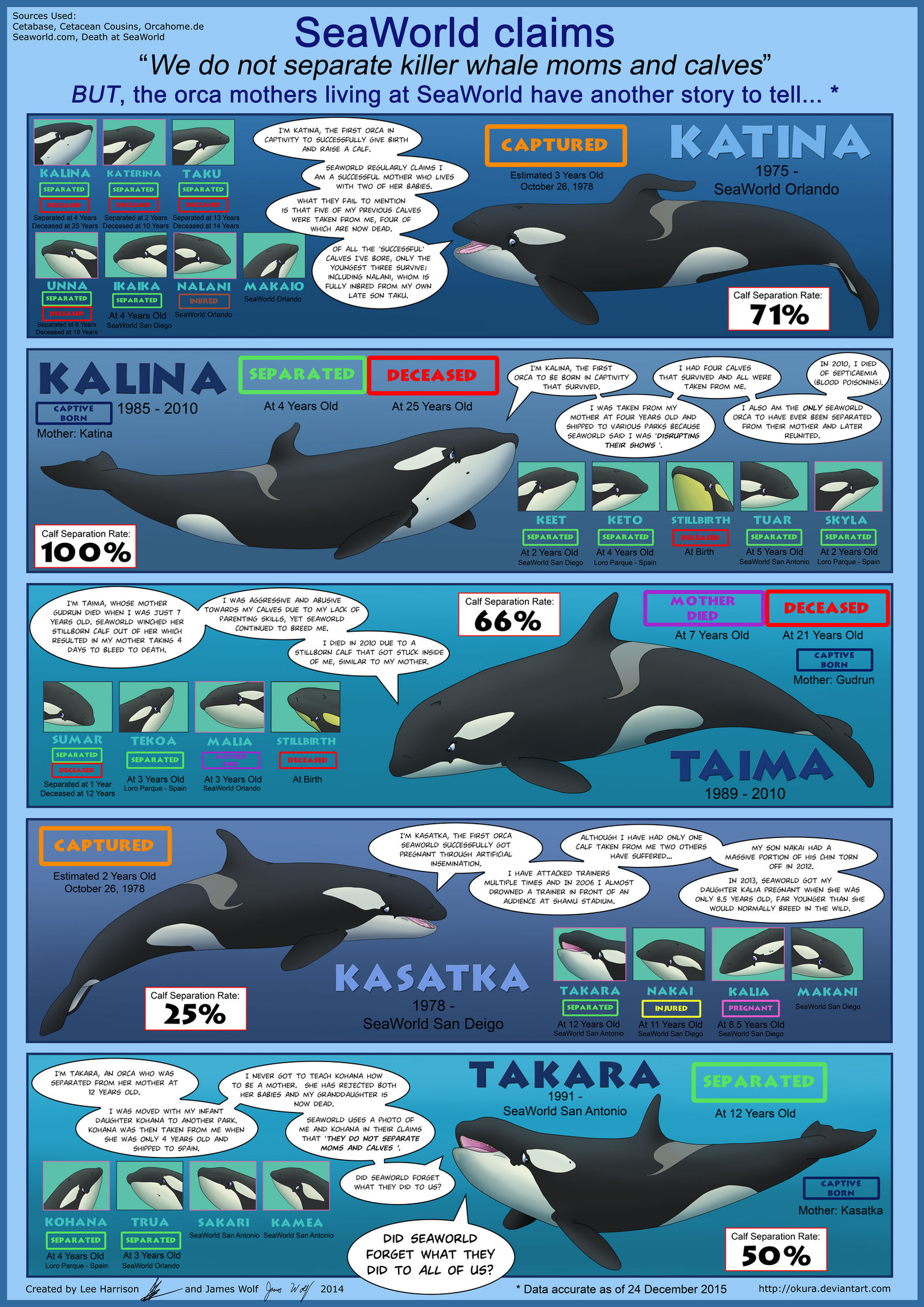 SeaWorld's Mothers and Calves by Okura