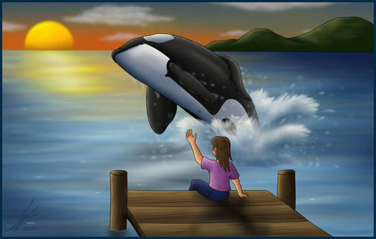 Tilikum's Twilight