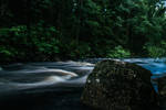 Forest stream II by mabuli Forest stream II by mabuli