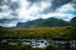 By the stream by mabuli By the stream by mabuli