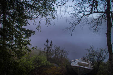 Misty lakescape