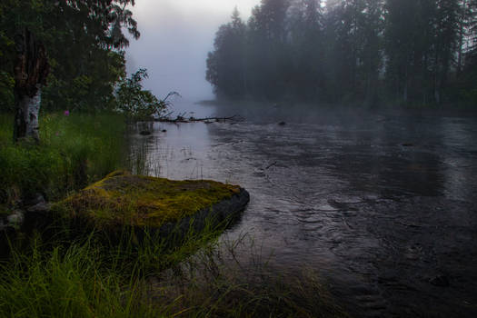 Misty river IV